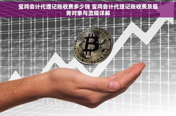 宝鸡会计代理记账收费多少钱 宝鸡会计代理记账收费及服务对象与流程详解