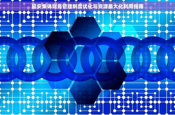 延安集体财务管理制度优化与资源最大化利用指南