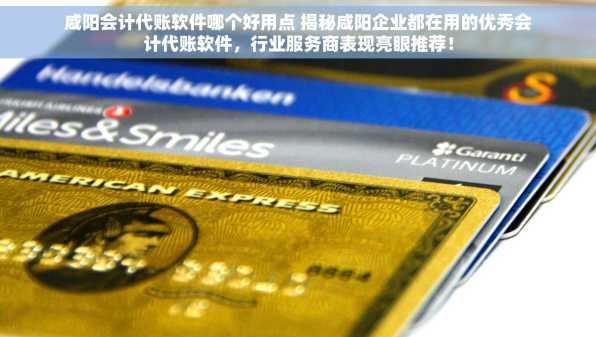 咸阳会计代账软件哪个好用点 揭秘咸阳企业都在用的优秀会计代账软件，行业服务商表现亮眼推荐！