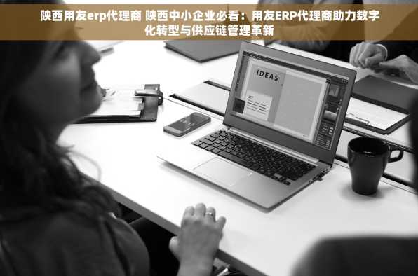 陕西用友erp代理商 陕西中小企业必看：用友ERP代理商助力数字化转型与供应链管理革新