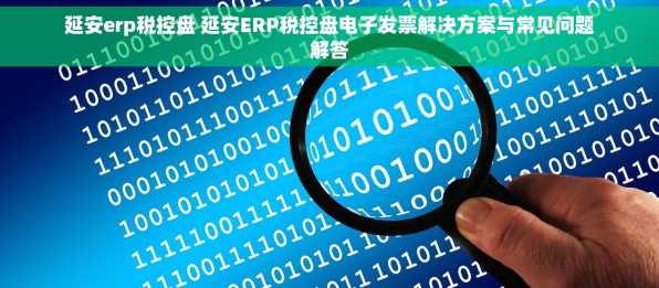 延安erp税控盘 延安ERP税控盘电子发票解决方案与常见问题解答