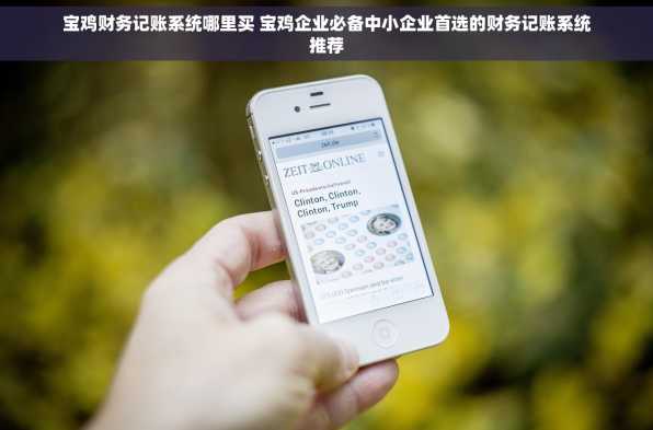 宝鸡财务记账系统哪里买 宝鸡企业必备中小企业首选的财务记账系统推荐
