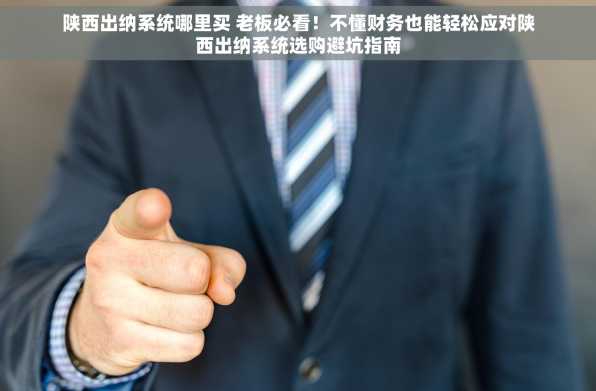 陕西出纳系统哪里买 老板必看！不懂财务也能轻松应对陕西出纳系统选购避坑指南