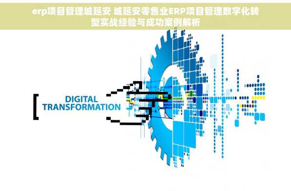 erp项目管理城延安 城延安零售业ERP项目管理数字化转型实战经验与成功案例解析