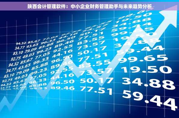陕西会计管理软件：中小企业财务管理助手与未来趋势分析
