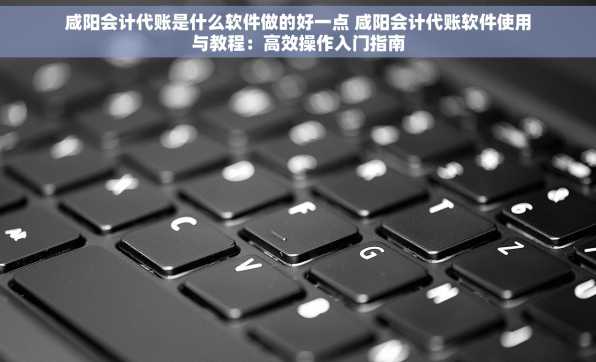 咸阳会计代账是什么软件做的好一点 咸阳会计代账软件使用与教程：高效操作入门指南