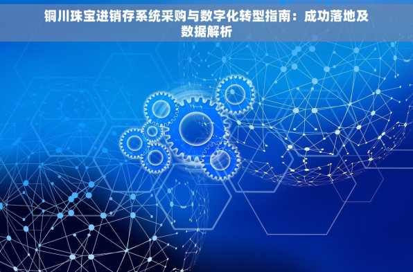 铜川珠宝进销存系统采购与数字化转型指南：成功落地及数据解析