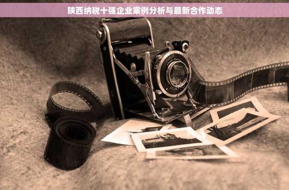 陕西纳税十强企业案例分析与最新合作动态