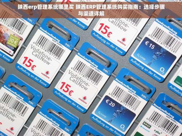 陕西erp管理系统哪里买 陕西ERP管理系统购买指南：选择步骤与渠道详解