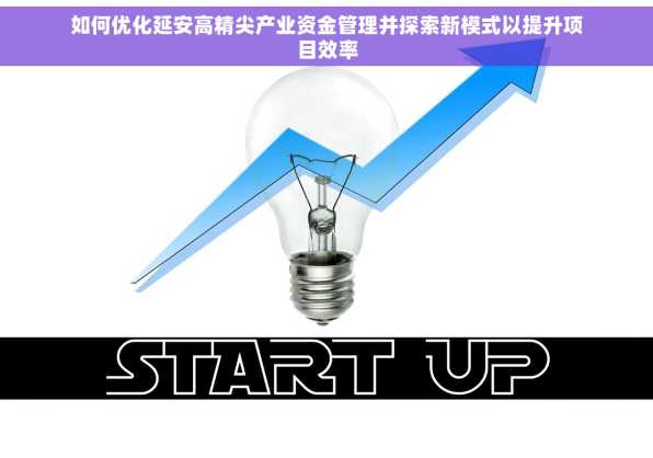 如何优化延安高精尖产业资金管理并探索新模式以提升项目效率