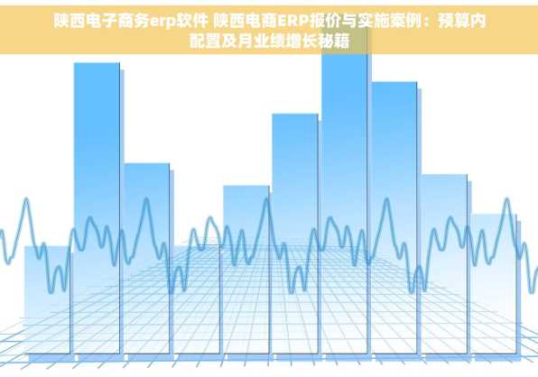 陕西电子商务erp软件 陕西电商ERP报价与实施案例：预算内配置及月业绩增长秘籍