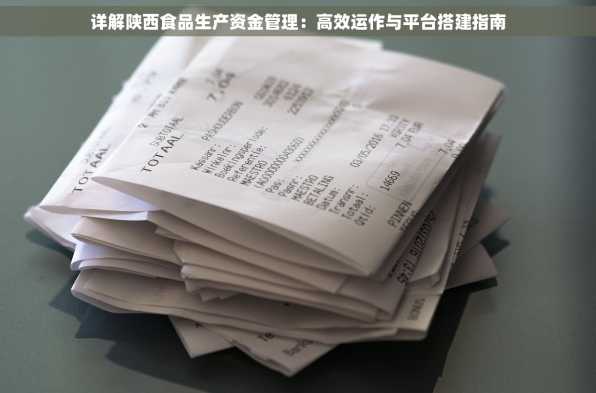 详解陕西食品生产资金管理：高效运作与平台搭建指南