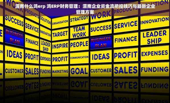渭南什么鸿erp 鸿ERP财务管理：渭南企业资金流把控技巧与最新企业管理方案