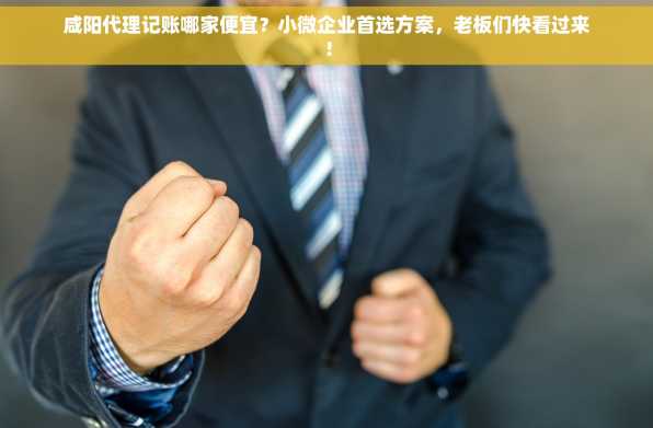 咸阳代理记账哪家便宜？小微企业首选方案，老板们快看过来！