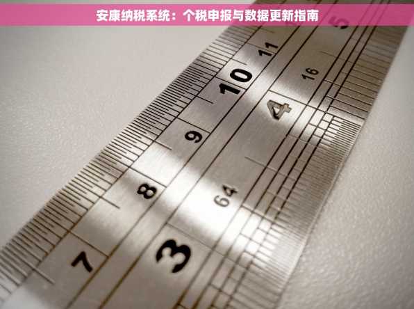 安康纳税系统：个税申报与数据更新指南