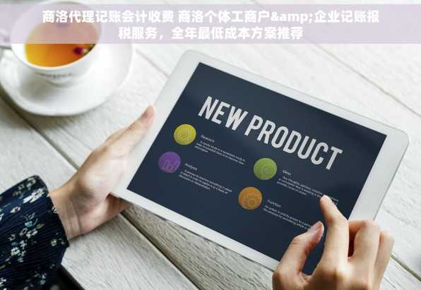 商洛代理记账会计收费 商洛个体工商户&企业记账报税服务，全年最低成本方案推荐