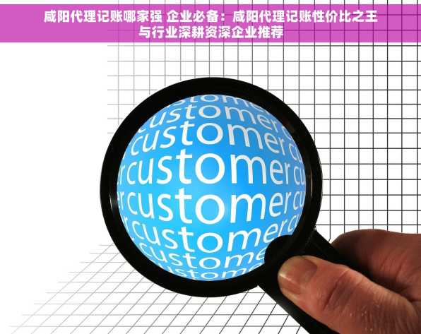 咸阳代理记账哪家强 企业必备：咸阳代理记账性价比之王与行业深耕资深企业推荐