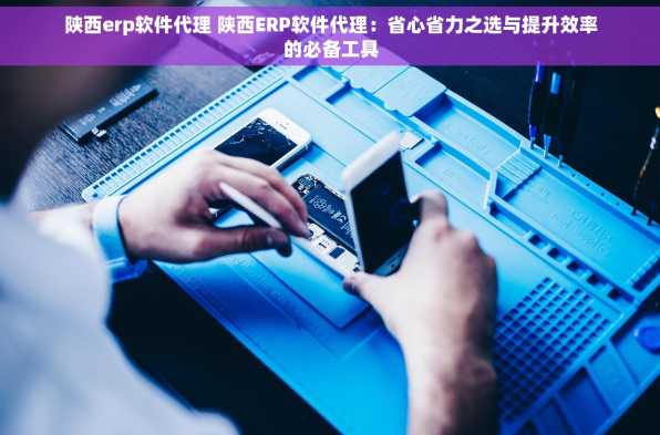 陕西erp软件代理 陕西ERP软件代理：省心省力之选与提升效率的必备工具
