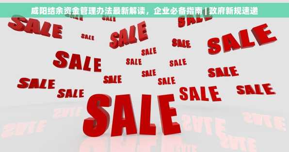 咸阳结余资金管理办法最新解读，企业必备指南 | 政府新规速递