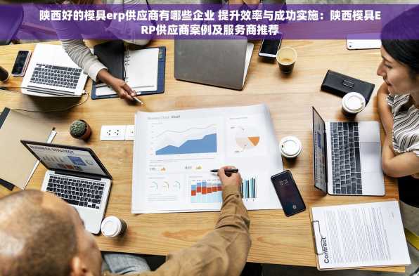 陕西好的模具erp供应商有哪些企业 提升效率与成功实施：陕西模具ERP供应商案例及服务商推荐