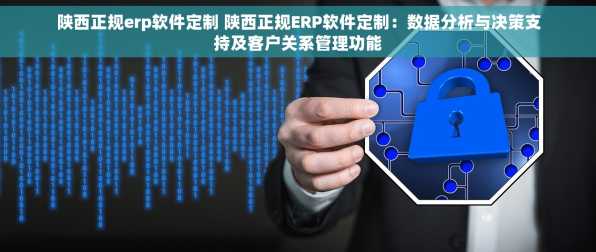 陕西正规erp软件定制 陕西正规ERP软件定制：数据分析与决策支持及客户关系管理功能