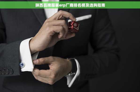 陕西品牌服装erp厂商排名榜及选购指南