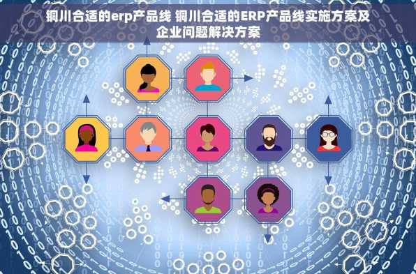 铜川合适的erp产品线 铜川合适的ERP产品线实施方案及企业问题解决方案