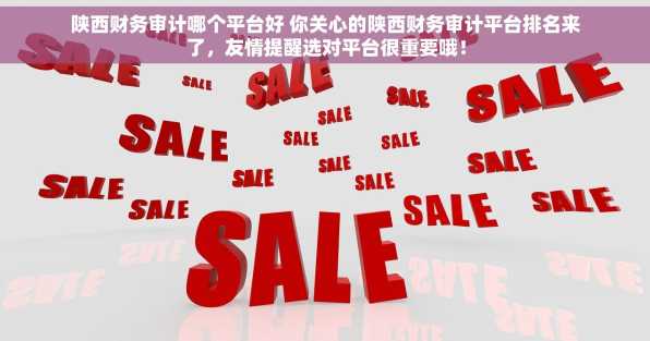 陕西财务审计哪个平台好 你关心的陕西财务审计平台排名来了，友情提醒选对平台很重要哦！