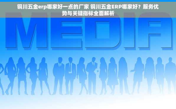 铜川五金erp哪家好一点的厂家 铜川五金ERP哪家好？服务优势与关键指标全面解析