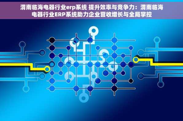 渭南临海电器行业erp系统 提升效率与竞争力：渭南临海电器行业ERP系统助力企业营收增长与全局掌控