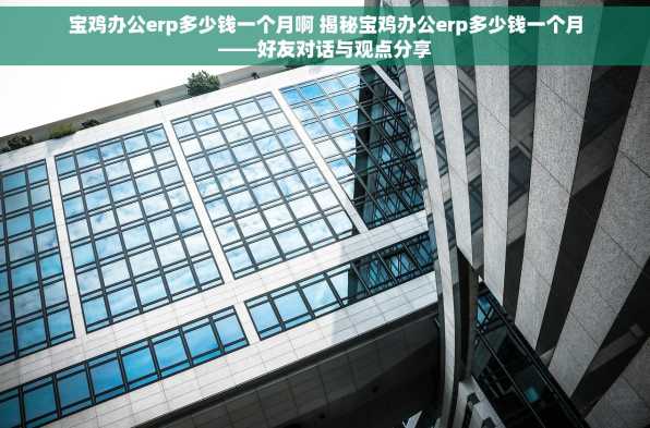 宝鸡办公erp多少钱一个月啊 揭秘宝鸡办公erp多少钱一个月——好友对话与观点分享