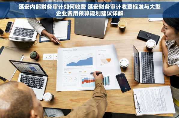 延安内部财务审计如何收费 延安财务审计收费标准与大型企业费用预算规划建议详解