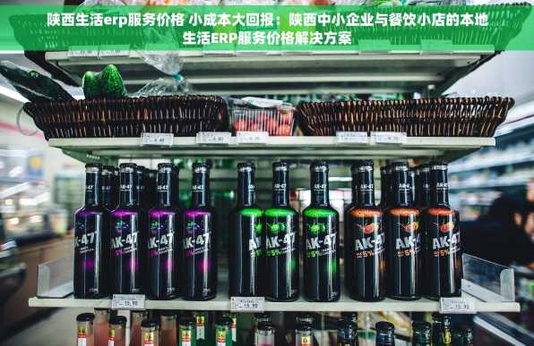 陕西生活erp服务价格 小成本大回报：陕西中小企业与餐饮小店的本地生活ERP服务价格解决方案