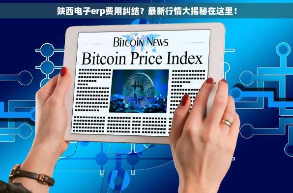 陕西电子erp费用纠结？最新行情大揭秘在这里！