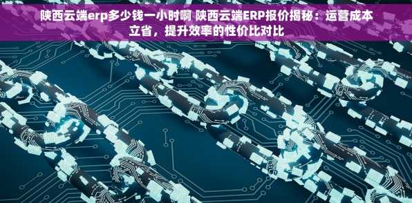 陕西云端erp多少钱一小时啊 陕西云端ERP报价揭秘：运营成本立省，提升效率的性价比对比