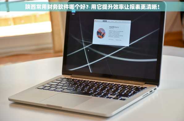 陕西常用财务软件哪个好？用它提升效率让报表更清晰！