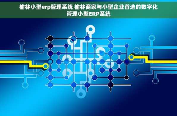 榆林小型erp管理系统 榆林商家与小型企业首选的数字化管理小型ERP系统