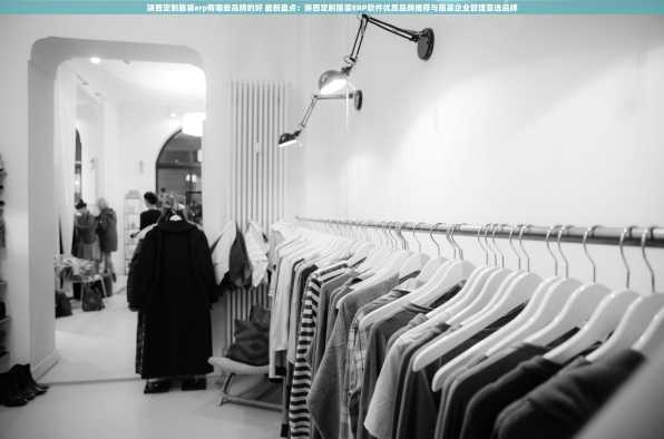 陕西定制服装erp有哪些品牌的好 最新盘点：陕西定制服装ERP软件优质品牌推荐与服装企业管理首选品牌
