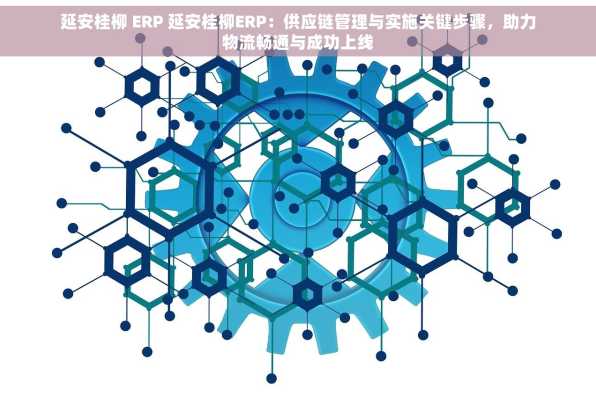 延安桂柳 ERP 延安桂柳ERP：供应链管理与实施关键步骤，助力物流畅通与成功上线