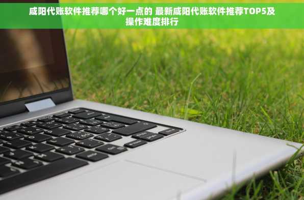 咸阳代账软件推荐哪个好一点的 最新咸阳代账软件推荐TOP5及操作难度排行
