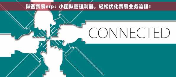 陕西贸易erp：小团队管理利器，轻松优化贸易业务流程！