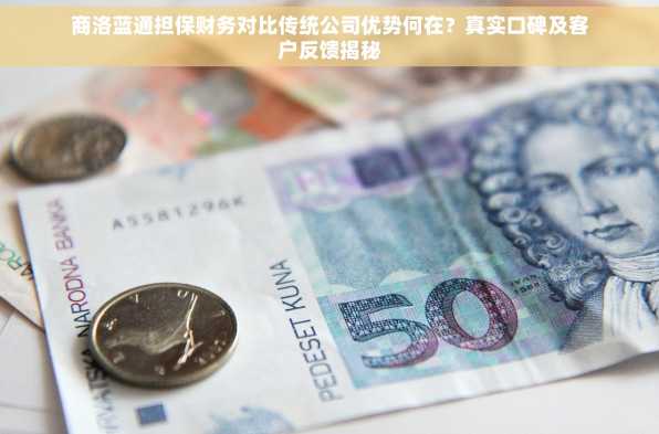商洛蓝通担保财务对比传统公司优势何在？真实口碑及客户反馈揭秘