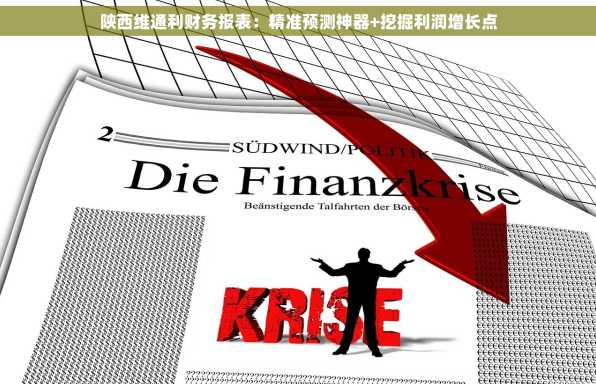 陕西维通利财务报表：精准预测神器+挖掘利润增长点