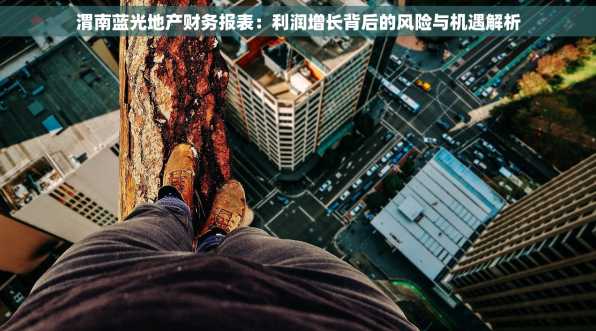 渭南蓝光地产财务报表：利润增长背后的风险与机遇解析