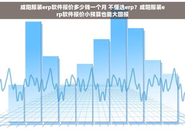 咸阳服装erp软件报价多少钱一个月 不懂选erp？咸阳服装erp软件报价小预算也能大回报