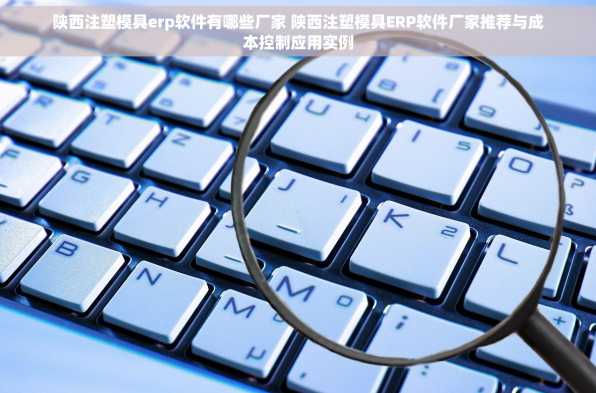 陕西注塑模具erp软件有哪些厂家 陕西注塑模具ERP软件厂家推荐与成本控制应用实例