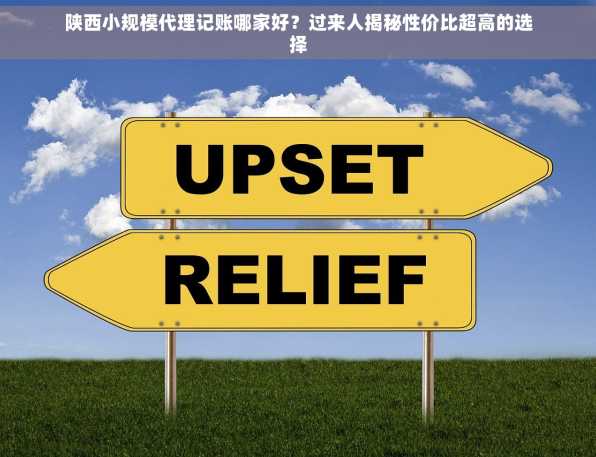 陕西小规模代理记账哪家好？过来人揭秘性价比超高的选择