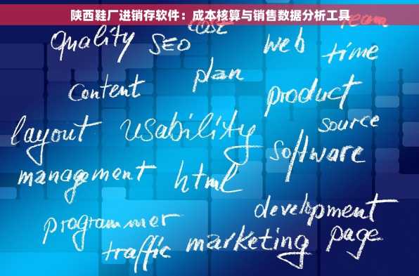 陕西鞋厂进销存软件：成本核算与销售数据分析工具