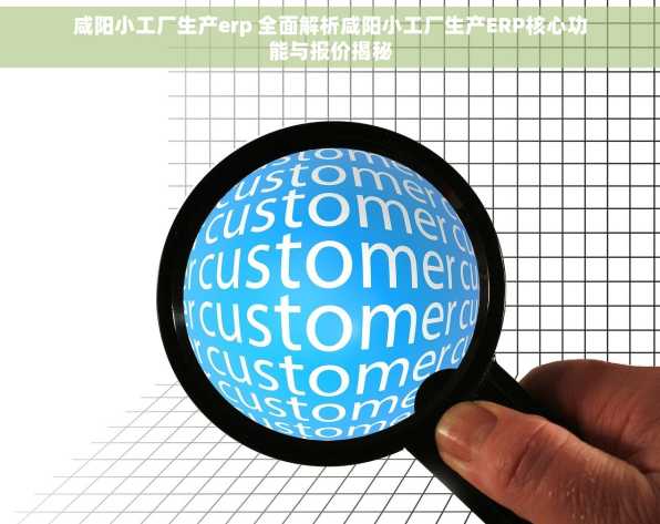 咸阳小工厂生产erp 全面解析咸阳小工厂生产ERP核心功能与报价揭秘