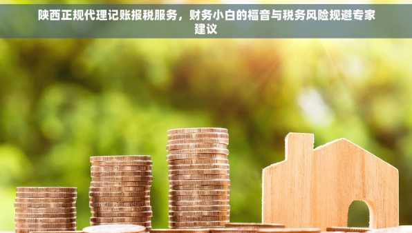 陕西正规代理记账报税服务，财务小白的福音与税务风险规避专家建议
